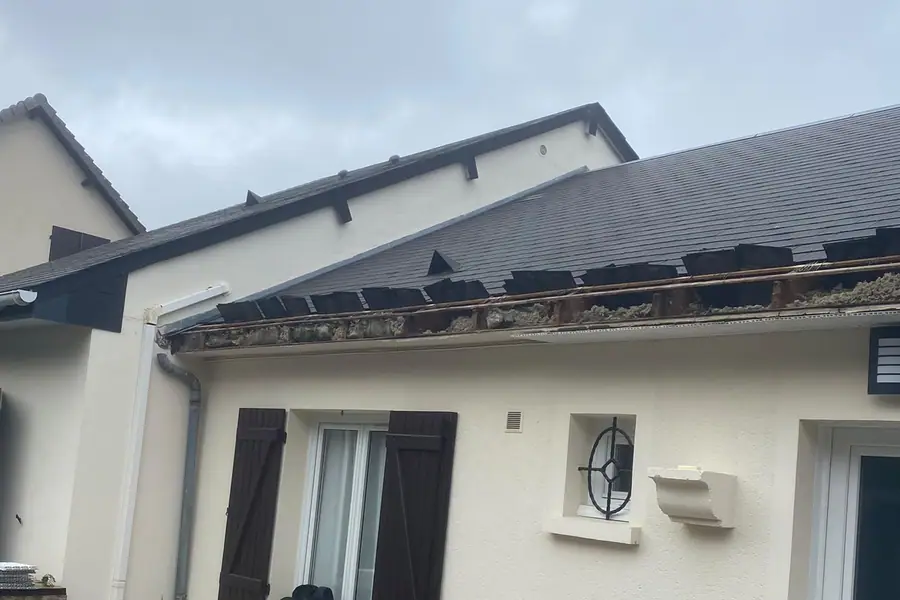 Rive de toiture dégradée : gouttière corrodée et engorgée de mousse, about de tuiles dégarni au-dessus